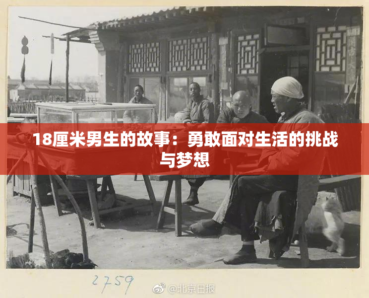 18厘米男生的故事：勇敢面对生活的挑战与梦想