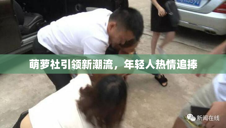 萌萝社引领新潮流，年轻人热情追捧