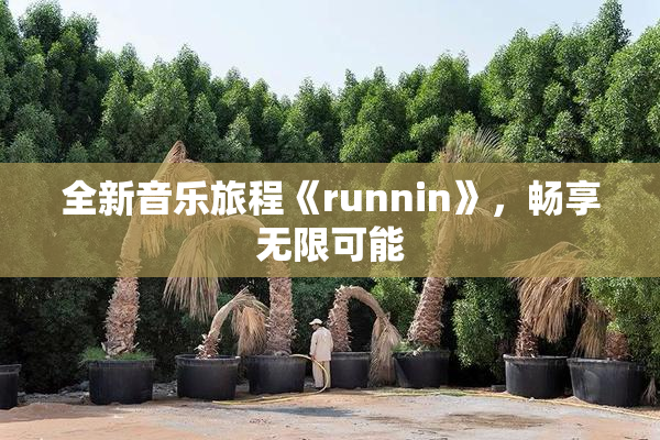 全新音乐旅程《runnin》，畅享无限可能