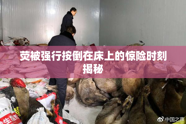 荧被强行按倒在床上的惊险时刻揭秘