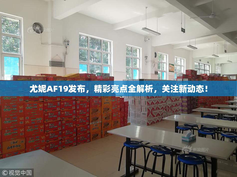 尤妮AF19发布，精彩亮点全解析，关注新动态！