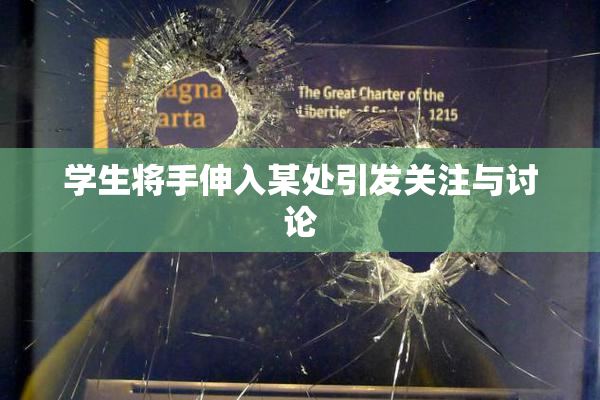 学生将手伸入某处引发关注与讨论