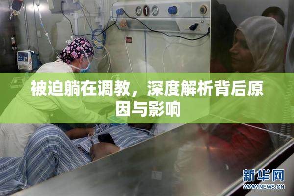被迫躺在调教，深度解析背后原因与影响