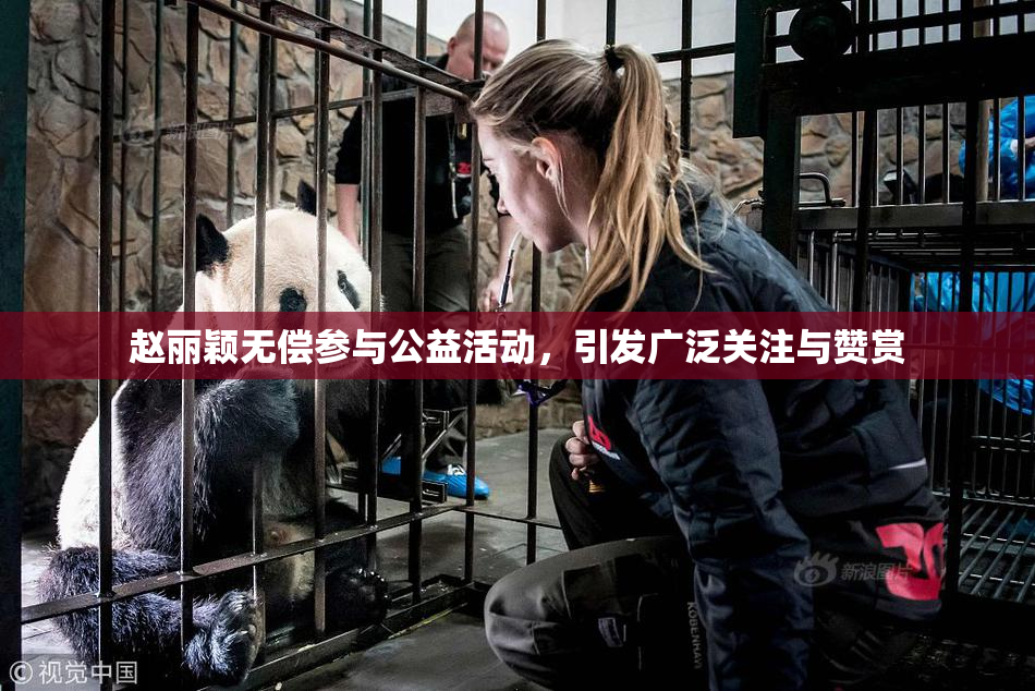 赵丽颖无偿参与公益活动，引发广泛关注与赞赏