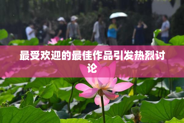 最受欢迎的最佳作品引发热烈讨论