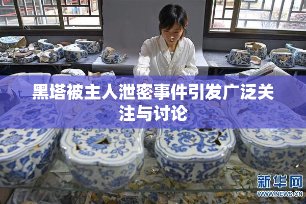 黑塔被主人泄密事件引发广泛关注与讨论
