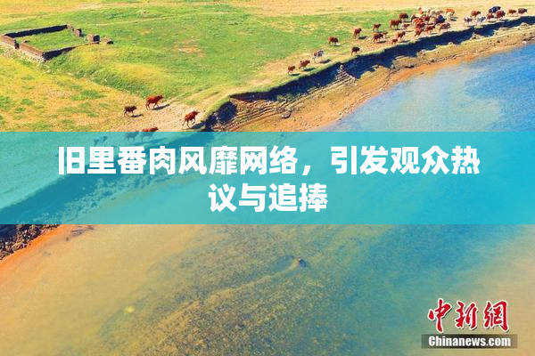 旧里番肉风靡网络，引发观众热议与追捧