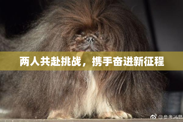 两人共赴挑战，携手奋进新征程