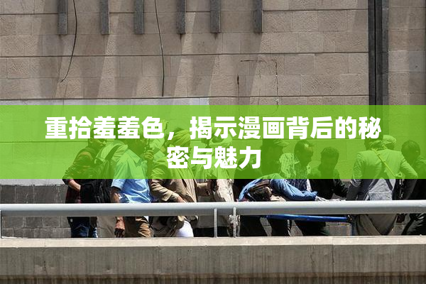 重拾羞羞色，揭示漫画背后的秘密与魅力