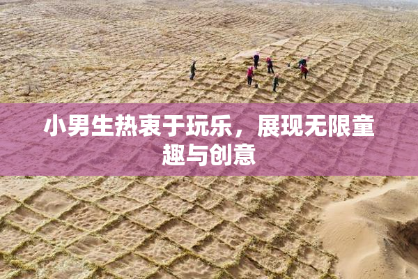 小男生热衷于玩乐，展现无限童趣与创意