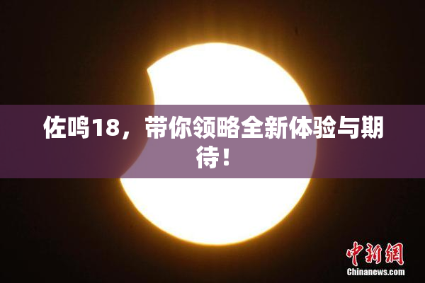 佐鸣18，带你领略全新体验与期待！