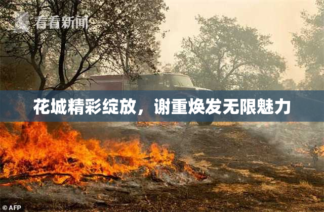花城精彩绽放，谢重焕发无限魅力