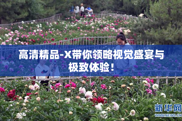 高清精品-X带你领略视觉盛宴与极致体验！