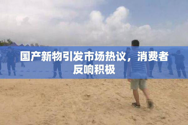 国产新物引发市场热议，消费者反响积极