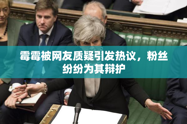 霉霉被网友质疑引发热议，粉丝纷纷为其辩护