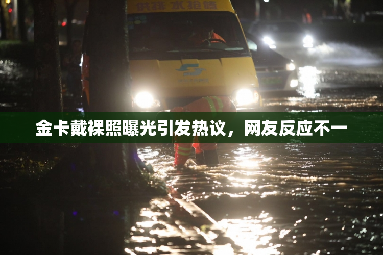 金卡戴裸照曝光引发热议，网友反应不一