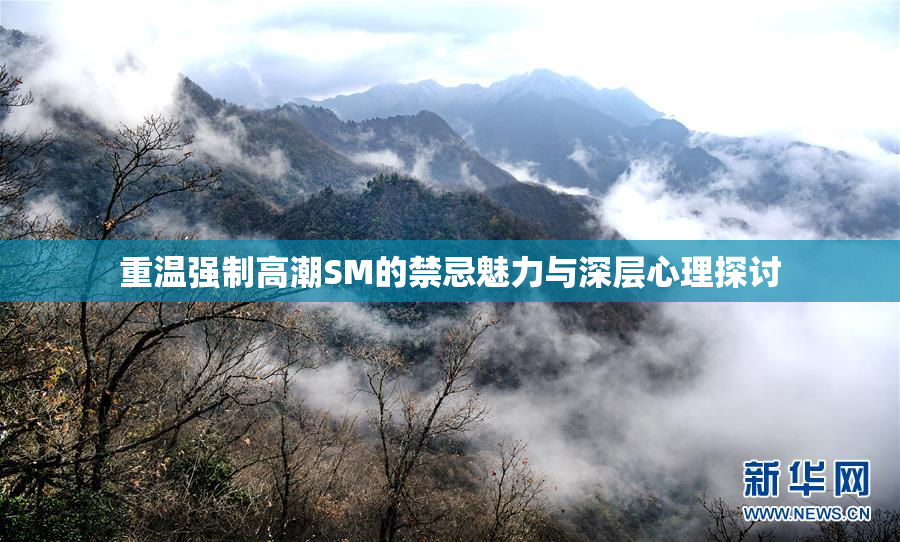 重温强制高潮SM的禁忌魅力与深层心理探讨