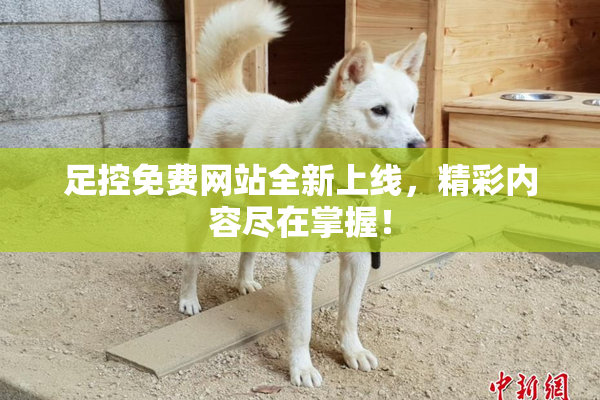 足控免费网站全新上线，精彩内容尽在掌握！