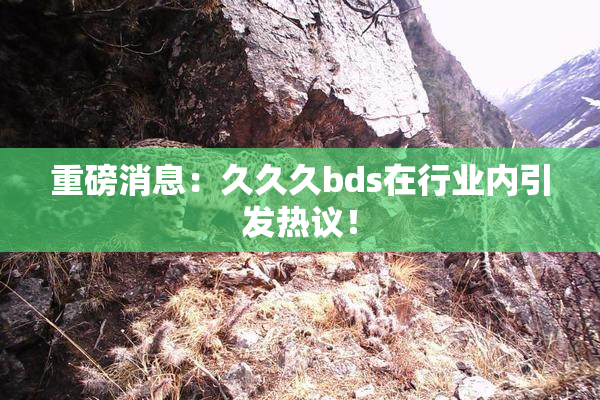 重磅消息：久久久bds在行业内引发热议！
