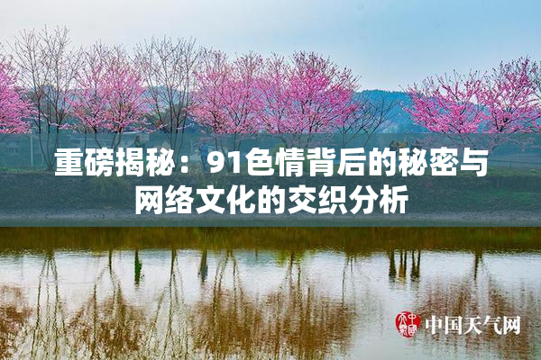 重磅揭秘：91色情背后的秘密与网络文化的交织分析