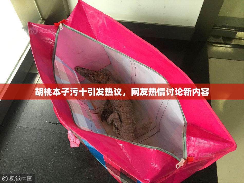 胡桃本子污十引发热议，网友热情讨论新内容
