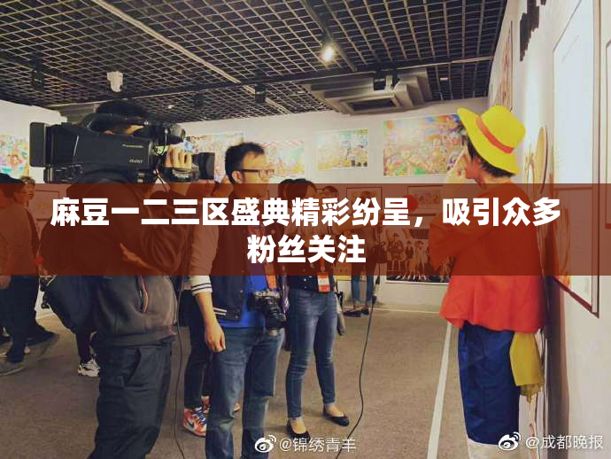麻豆一二三区盛典精彩纷呈，吸引众多粉丝关注