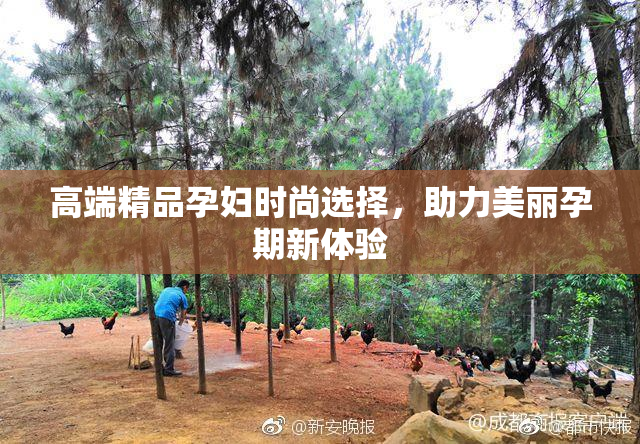 高端精品孕妇时尚选择，助力美丽孕期新体验