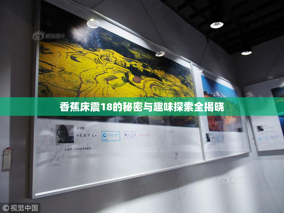 香蕉床震18的秘密与趣味探索全揭晓