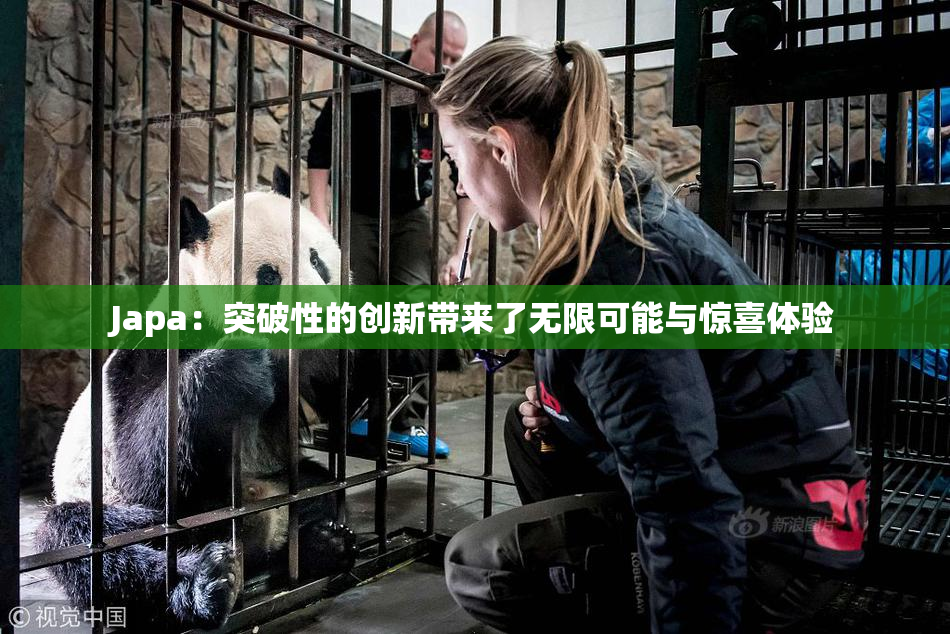 Japa：突破性的创新带来了无限可能与惊喜体验