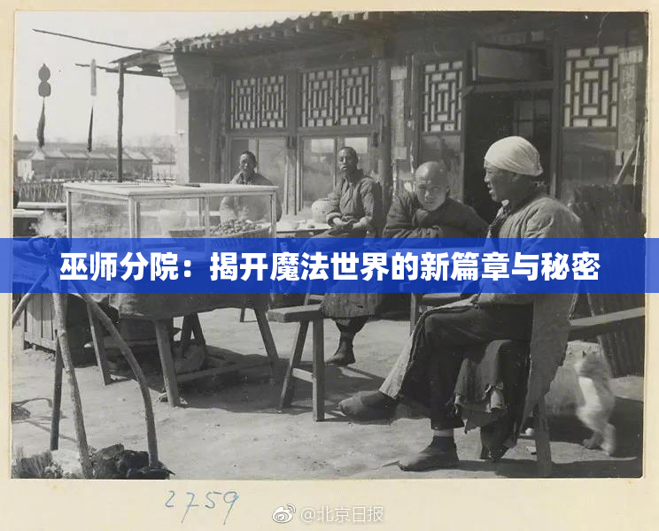 巫师分院：揭开魔法世界的新篇章与秘密