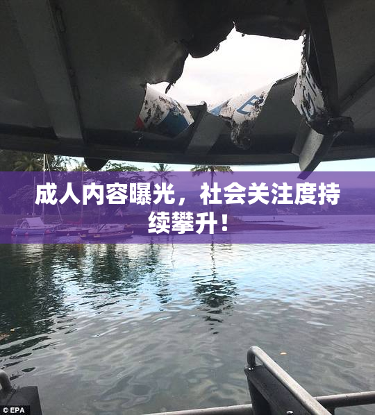成人内容曝光，社会关注度持续攀升！
