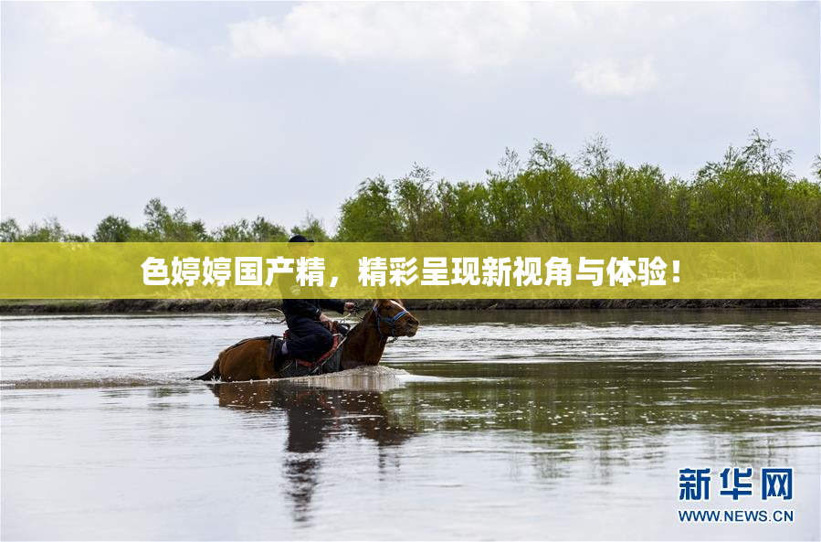 色婷婷国产精，精彩呈现新视角与体验！
