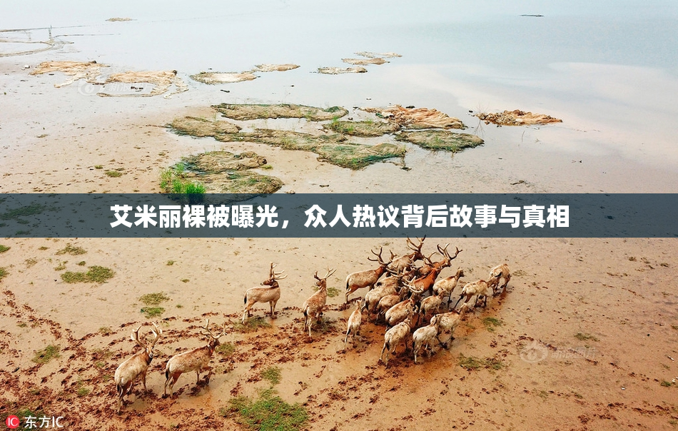 艾米丽裸被曝光，众人热议背后故事与真相