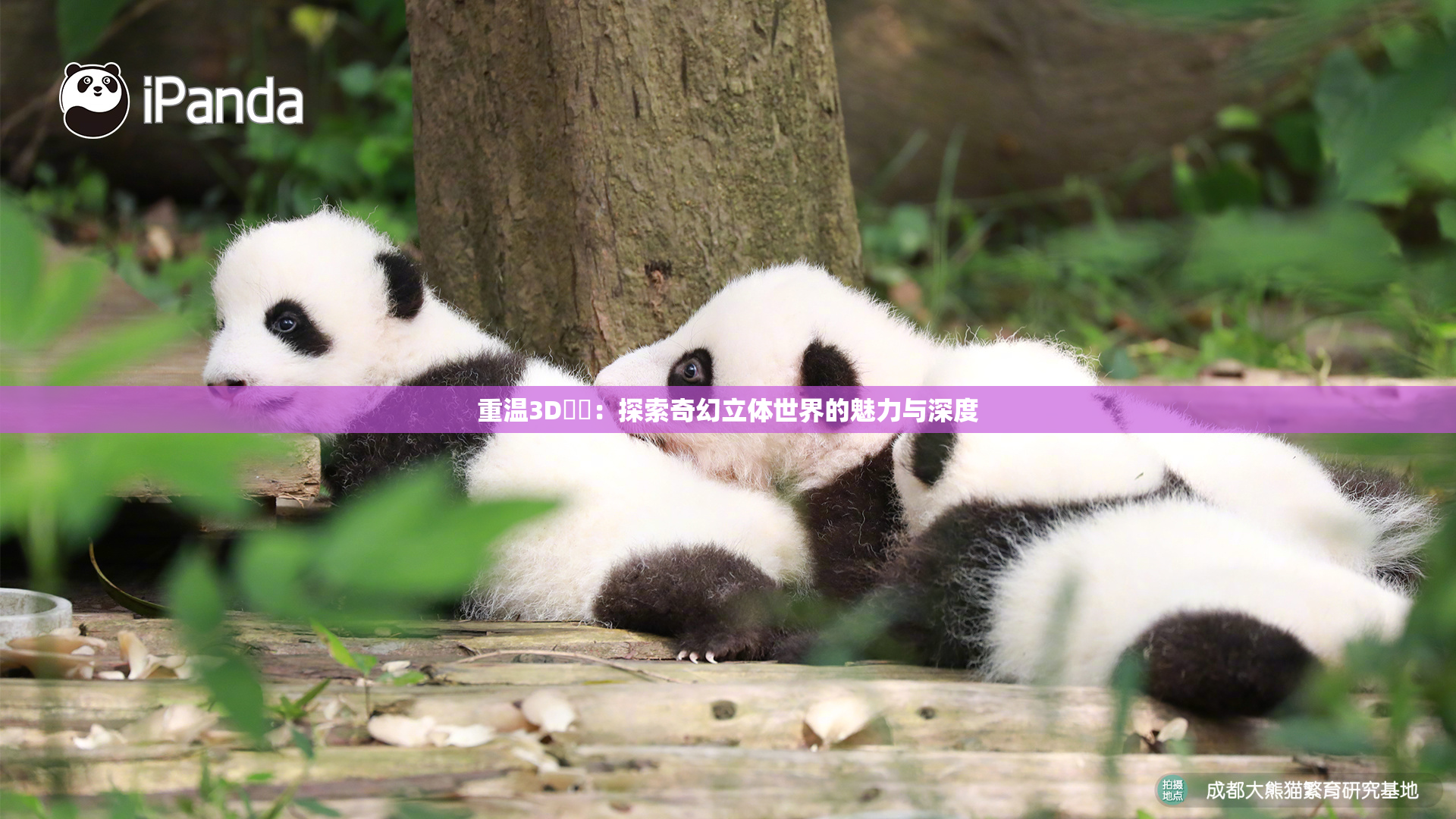 重温3D姉弚：探索奇幻立体世界的魅力与深度