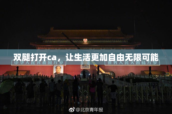 双腿打开ca，让生活更加自由无限可能