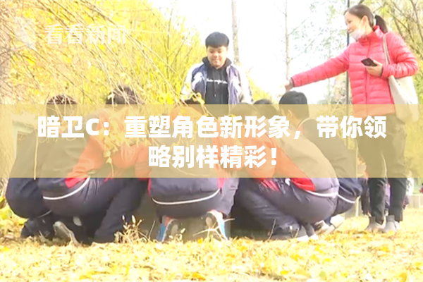 暗卫C：重塑角色新形象，带你领略别样精彩！