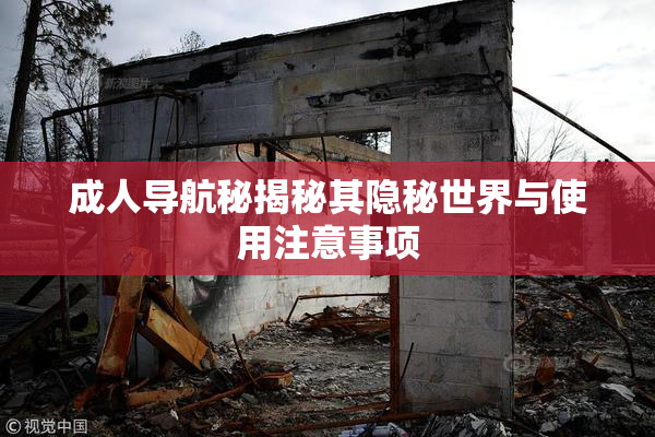成人导航秘揭秘其隐秘世界与使用注意事项