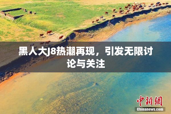 黑人大J8热潮再现，引发无限讨论与关注