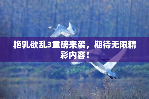 艳乳欲乱3重磅来袭，期待无限精彩内容！
