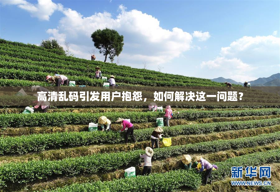 高清乱码引发用户抱怨，如何解决这一问题？