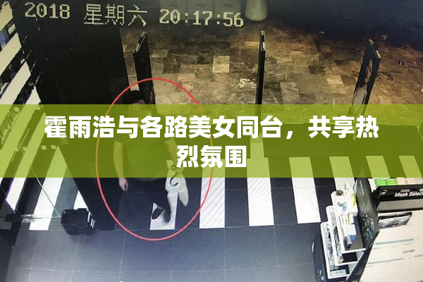 霍雨浩与各路美女同台，共享热烈氛围