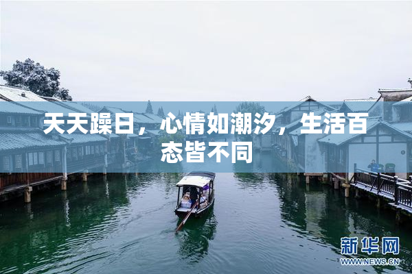 天天躁日，心情如潮汐，生活百态皆不同