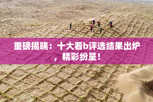 重磅揭晓：十大看b评选结果出炉，精彩纷呈！