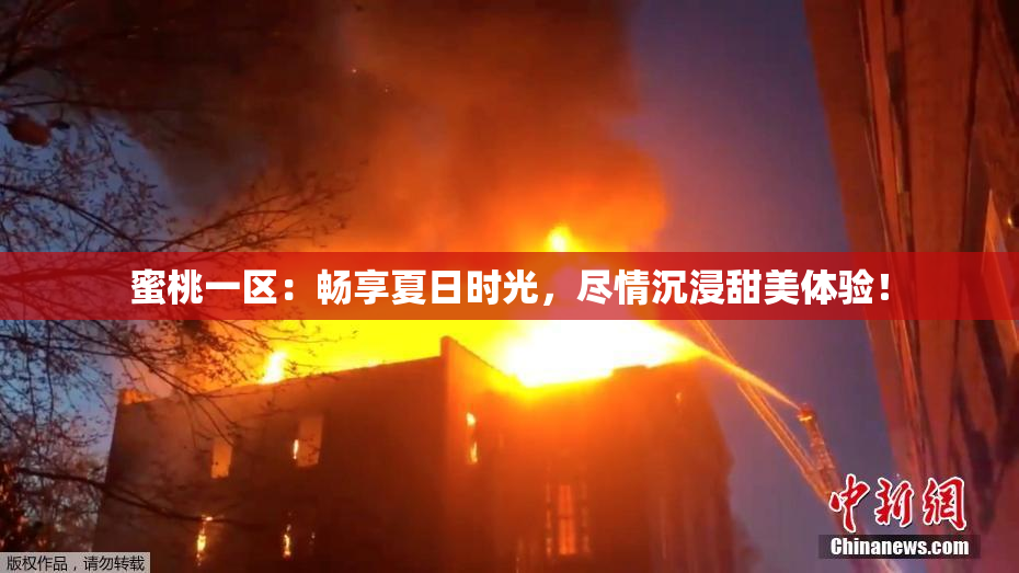 蜜桃一区：畅享夏日时光，尽情沉浸甜美体验！