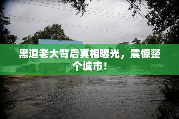 黑道老大背后真相曝光，震惊整个城市！