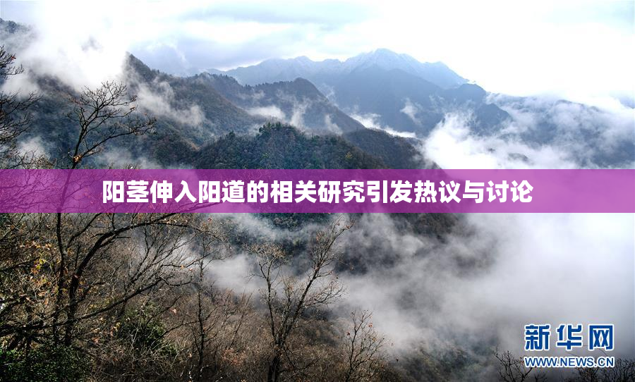 阳茎伸入阳道的相关研究引发热议与讨论