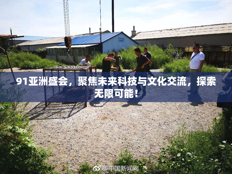 91亚洲盛会，聚焦未来科技与文化交流，探索无限可能！