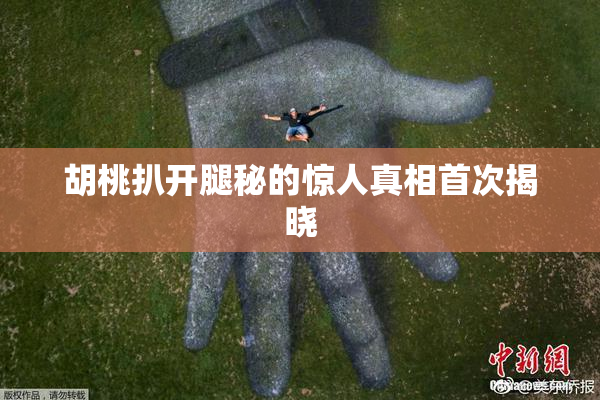 胡桃扒开腿秘的惊人真相首次揭晓