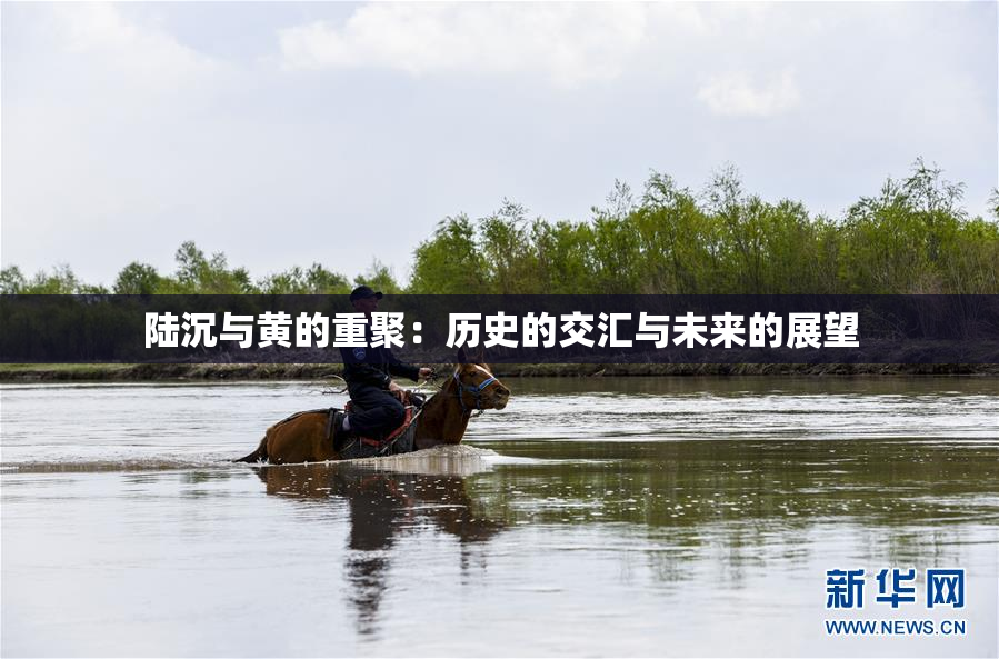 陆沉与黄的重聚：历史的交汇与未来的展望