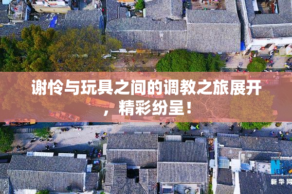 谢怜与玩具之间的调教之旅展开，精彩纷呈！